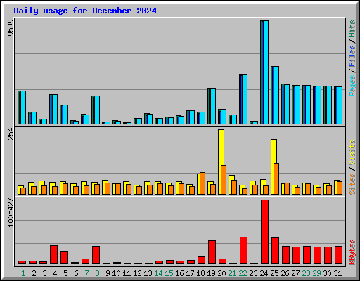 Daily usage for December 2024