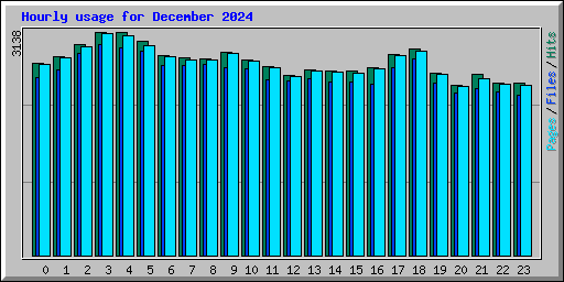 Hourly usage for December 2024