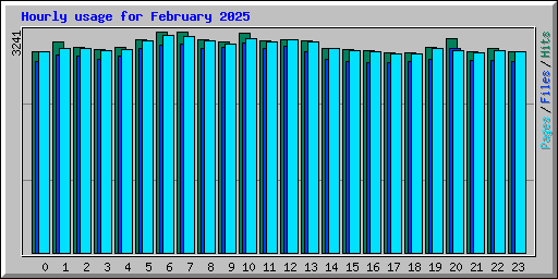 Hourly usage for February 2025