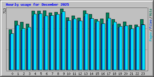 Hourly usage for December 2025